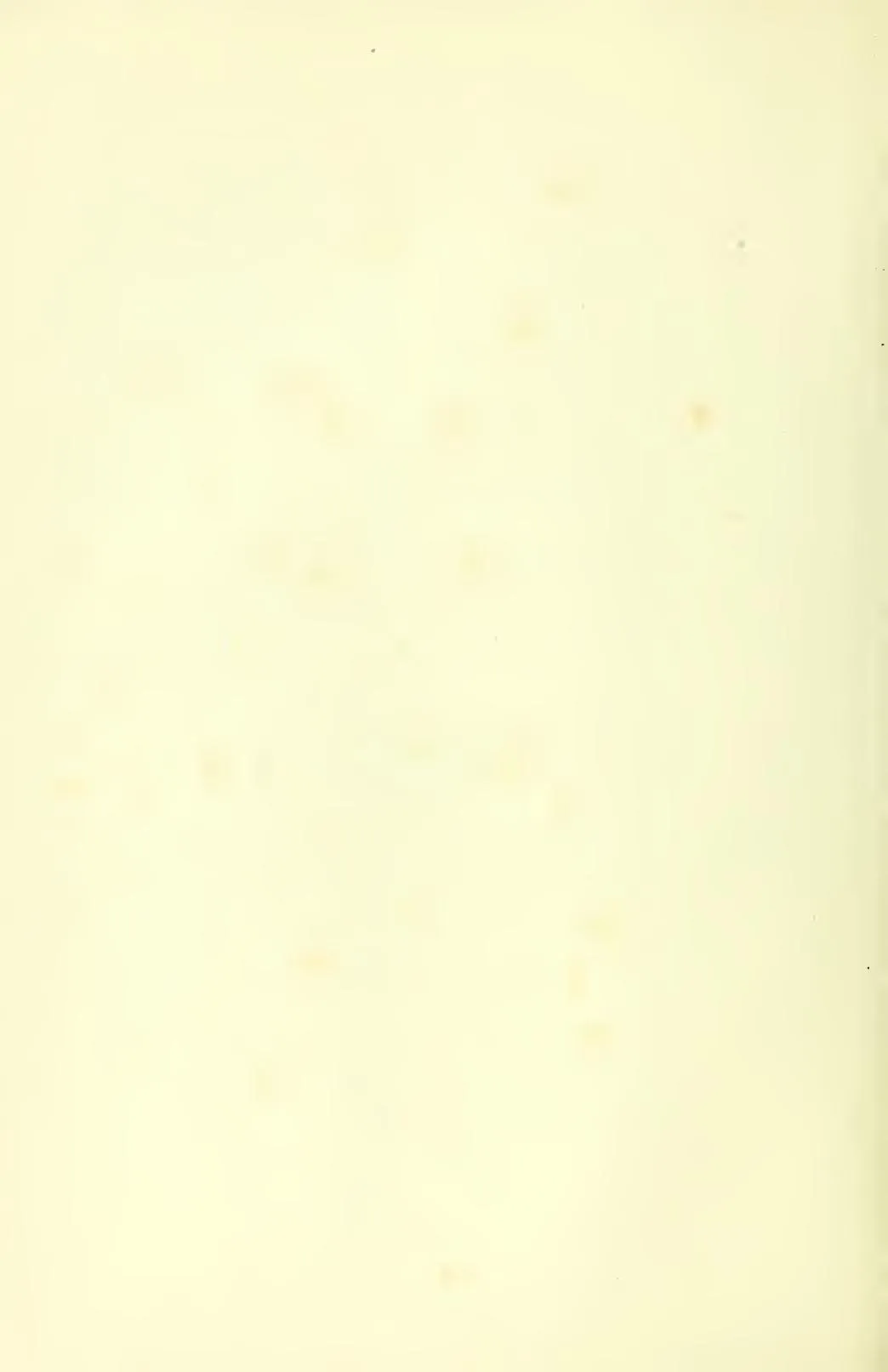 Scan of page 24