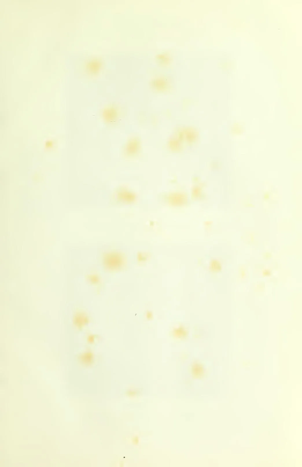 Scan of page 25